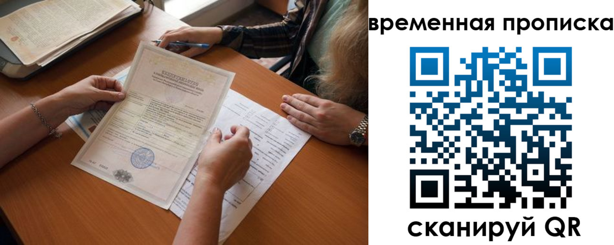 прописка в Борзе